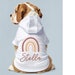 see more listings in the Dogs section