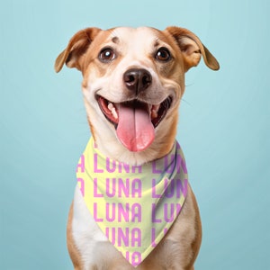 Custom Dog Bandana, Over the Collar Collar, Summer Dog Bandana, Pet Accessories