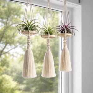 May include: Three macrame plant hangers with air plants. Each hanger has a wooden tray, a knotted design, and a large tassel. The plants have green and purple leaves. The hangers are suspended from a metal rod in front of a window.