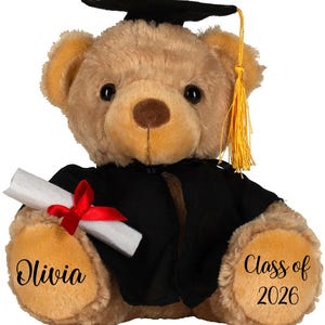 Personalised Graduation Teddy Bear Gift | Custom Name, Year, University | Graduation Bear with Scroll & Mortarboard | Class of 2026 Keepsake