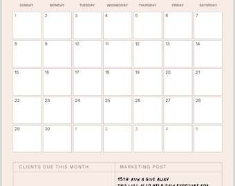 Newborn photographer planner and social media plan
