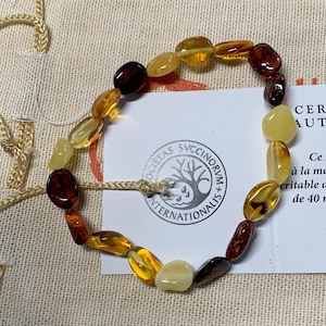 May include: A close-up of a Baltic amber teething necklace with a variety of amber beads in shades of yellow, orange, and brown. The necklace is on a white fabric background with a small card that reads "CERTIFICA AUTHENTI Ce Bijou, réali à la main, est en A eritable de la Baltiqu de 40 millions d'a Collection Natale".
