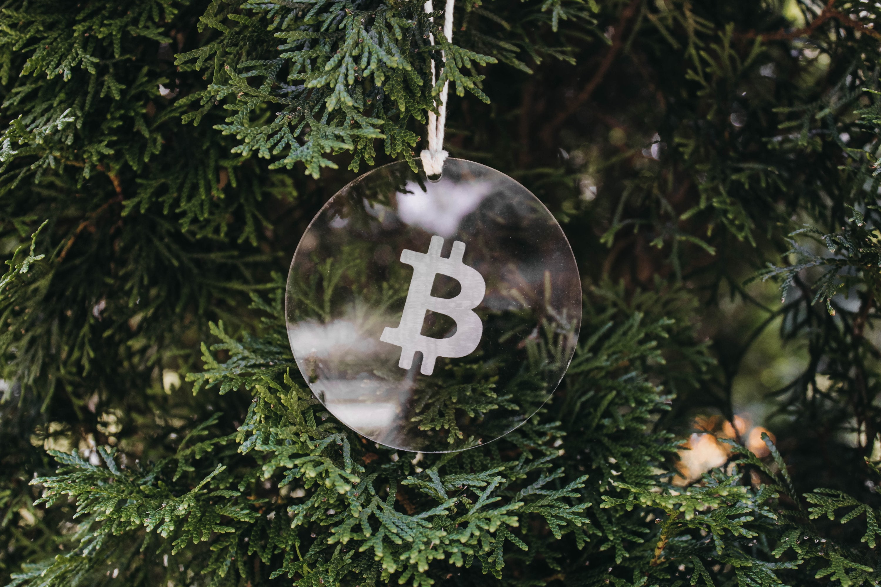 Laser Engraved Bitcoin Christmas Ornament: BTC Crypto Decor - Etsy