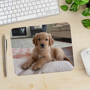 May include: A golden retriever puppy with brown eyes sits on a pink and white striped blanket. The puppy is looking directly at the camera.