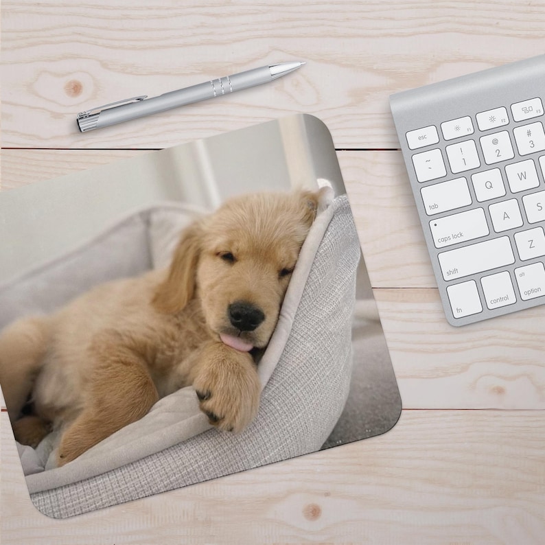 Peut inclure: Un chiot golden retriever dort dans un panier pour chien gris. Le chiot est couch&eacute; sur le c&ocirc;t&eacute;, la t&ecirc;te reposant sur le bord du panier. Sa langue sort l&eacute;g&egrave;rement.