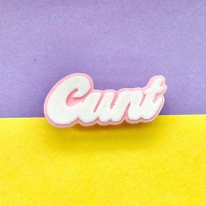 May include: A decorative pin featuring the word Cunt in a white, cursive, three-dimensional font. The lettering is outlined with a soft pink border, creating a distinct contrast against the background. The design has a textured, layered appearance.