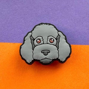 May include: A grey poodle dog with brown eyes, a black nose, and a fluffy coat. The dog's head is facing forward and the background is a purple and orange gradient.