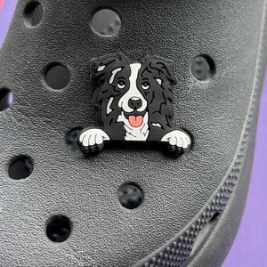 Puede incluir: Encanto de zapato negro con un perro border collie negro y blanco asom&aacute;ndose por detr&aacute;s. El perro tiene la lengua rosa fuera.