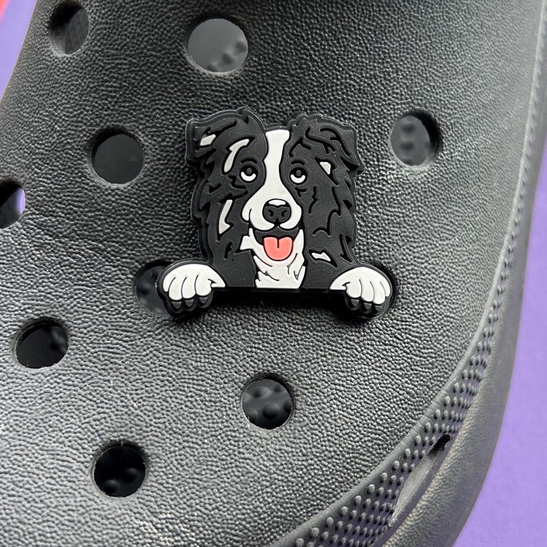 Puede incluir: Encanto de zapato negro con un perro border collie negro y blanco asom&aacute;ndose por detr&aacute;s. El perro tiene la lengua rosa fuera.