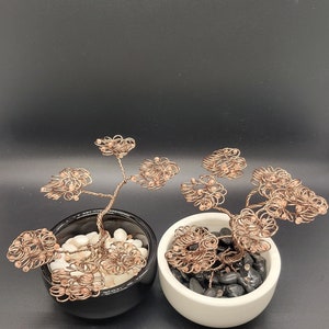 May include: Two wire bonsai trees in pots. One pot is black and the other is white. Both pots are filled with small stones.