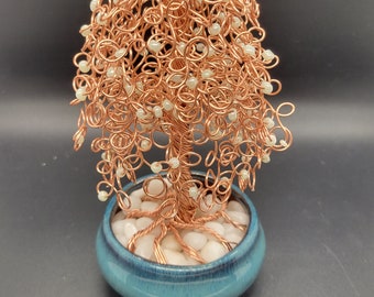 Pearly wire willow