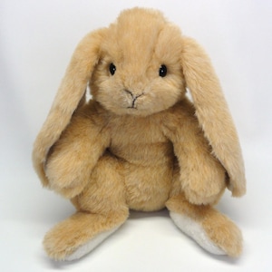 Könnte beinhalten: Rustikales Holzschild mit dem handgeschriebenen Text "Welcome to our home". Das rechteckige Schild hat eine Used-Optik und ein schlichtes, einladendes Design. Geeignet für den Innen- und Außenbereich.