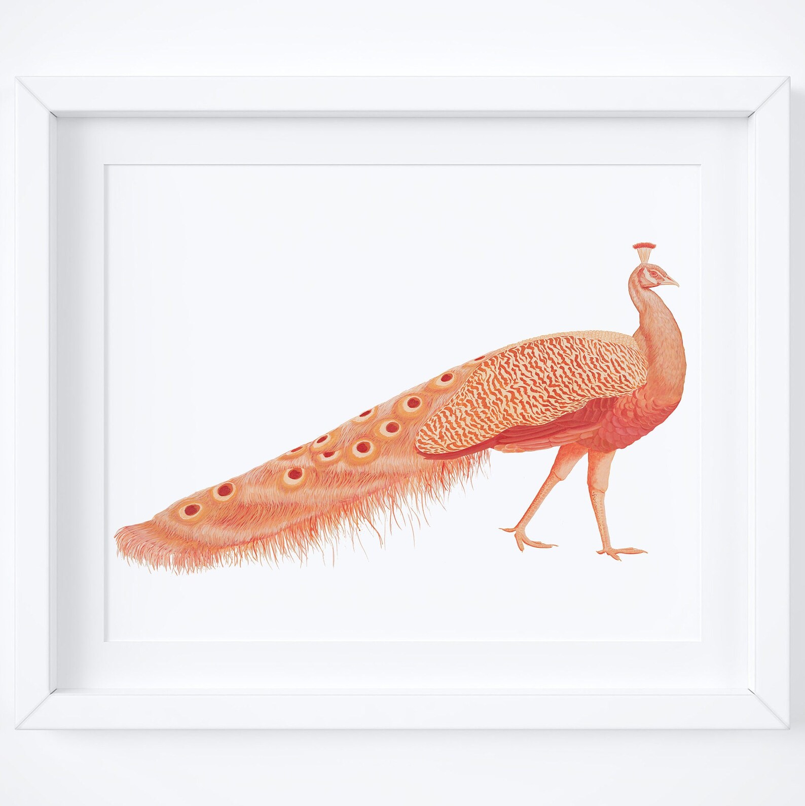 Peacock Acrylic Painting Boho Animal Wall Art Print of Etsy