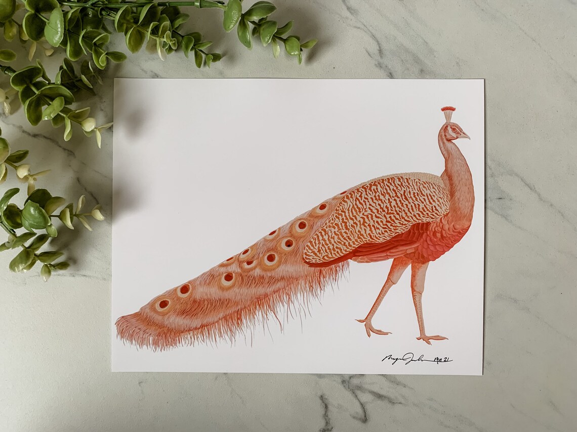 Peacock Acrylic Painting Boho Animal Wall Art Print of Etsy