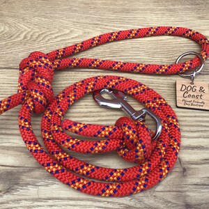 Puede incluir: Correa de perro de cuerda roja, amarilla y azul con un clip plateado y una etiqueta de madera que dice "DOG & Coast Planet Friendly Dog Boutique".