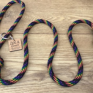 Puede incluir: Una correa para perros multicolor con fondo negro y rayas arcoíris. La correa tiene un cierre metálico y una etiqueta de madera que dice "DOG & Coast Planet Friendly Dog Boutique."