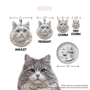 Collar con retrato realista personalizado a partir de tu foto / Charm de plata esterlina hecho a mano imagen 7