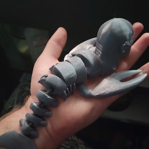 Langosta - Langosta de roca - Impresa en 3D - Juguete antiestrés / Rocktopus / The Rock / Dwayne Johnson Calcular beneficio