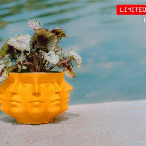 Multi Face Planter, US, Indoor Planter, Succulent Planter, Gift, Unique Plant Pot, 3D Printed, Polyface, Many Faces Vase