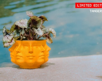 Multi Face Planter, US, Indoor Planter, Succulent Planter, Gift, Unique Plant Pot, 3D Printed, Polyface, Many Faces Vase