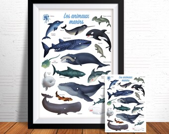 Affiche impression d'art illustrations animales des océans papier haute qualité 210g mat décoration chambre d'enfant fait main