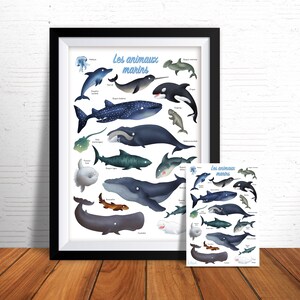 Affiche impression d'art illustrations animales des océans papier haute qualité 210g mat décoration chambre d'enfant fait main