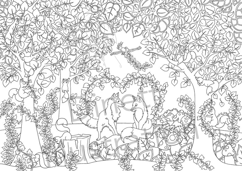 Cahier De Coloriages 15 Coloriages Noir Et Blanc Pour Adulte - Etsy