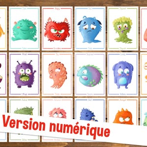 Cartes flash en français et en anglais, 18 cartes flash émotions, cartes des sentiments, à imprimer pour l'école ou la maison, NUMÉRIQUE