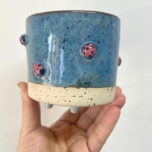 May include: A handmade ceramic planter with a speckled blue glaze and a cream-colored base. The planter features raised ladybug embellishments in pink and black. The planter has three small feet.