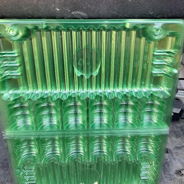 Free Shipping Plants Etsy