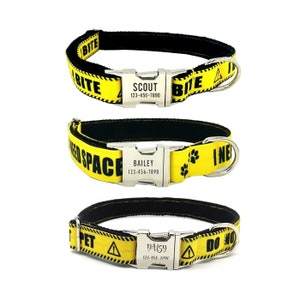 Do Not Pet Dog Collar | I Bite Dog Collar | I Need Space Dog Collar | Warning Messages Personalized Dog Collar and Leash |Caution Dog Collar