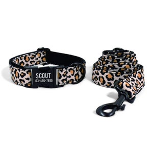 Puede incluir: Un conjunto de collar y correa para perros con estampado de leopardo en beige, negro y marrón. El collar tiene una hebilla negra con el nombre "SCOUT" y un número de teléfono. La correa está enrollada con un mosquetón negro.
