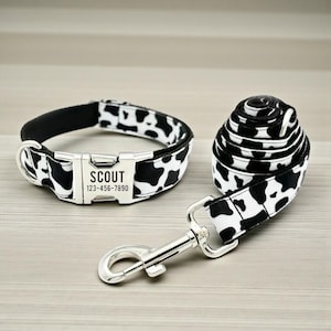 Pode incluir: Um conjunto de coleira e trela para cães com estampa de vaca em preto e branco. A coleira tem uma fivela de metal com o nome "SCOUT" e um número de telefone. A trela está enrolada ao lado da coleira.