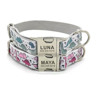 Cute Dinosaurs Personalized Dog Collar & Leash - Dinosaur Cute Personalised Dog Collar and Leash - Dinosaur Print Collar