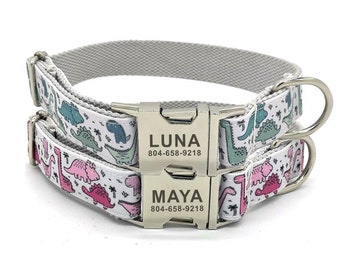 Cute Dinosaurs Personalized Dog Collar & Leash - Dinosaur Cute Personalised Dog Collar and Leash - Dinosaur Print Collar