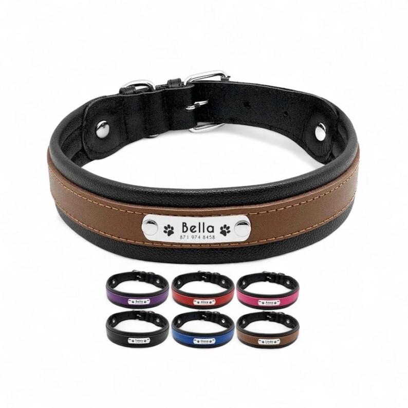 K&ouml;nnte beinhalten: Ein schwarzes Lederhundekragen mit braunem Lederbesatz und einem silbernen Namensschild mit der Aufschrift "Bella 571 974 8458". Das Halsband wird mit anderen Halsb&auml;ndern in verschiedenen Farben gezeigt.