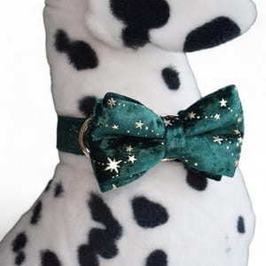 Puede incluir: Una pajarita de terciopelo verde con detalles de estrellas doradas para una mascota. La pajarita est&aacute; atada al cuello de un perro blanco y negro con manchas.