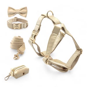 Personalized Khaki Velvet Harness Collar Leash Bow Tie Poo Bag Set | Personalised Dog Harness with Leash | Matching Dog Collar Leash Harness