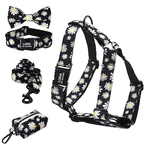 Personalized Daisies Harness Collar Leash Bow Tie Poo Bag Set | Personalised Dog Harness & Leash | Matching Daisy Dog Collar Leash Harness