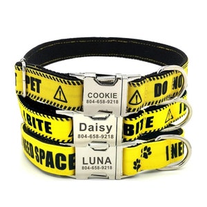 Do Not Pet Dog Collar | I Bite Dog Collar | I Need Space Dog Collar | Warning Messages Personalized Dog Collar and Leash |Caution Dog Collar