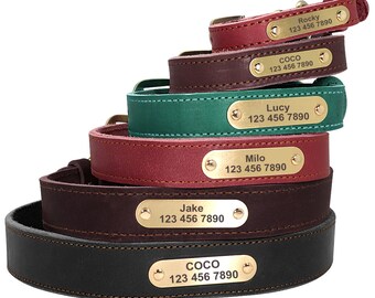 Premium Leather Personalized Dog Collar & Leash - Personalised Genuine Leather Dog Collar and Leash - Leather Collar and Leash for Dogs