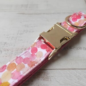 May include: A pink dog collar with a gold buckle and a white background with pink and orange watercolor dots.