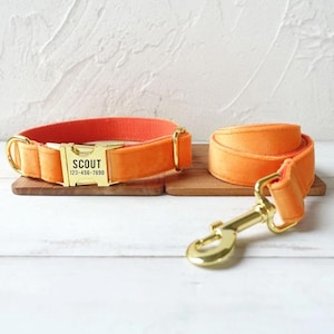 Hermes hundehalsband - Etsy.de