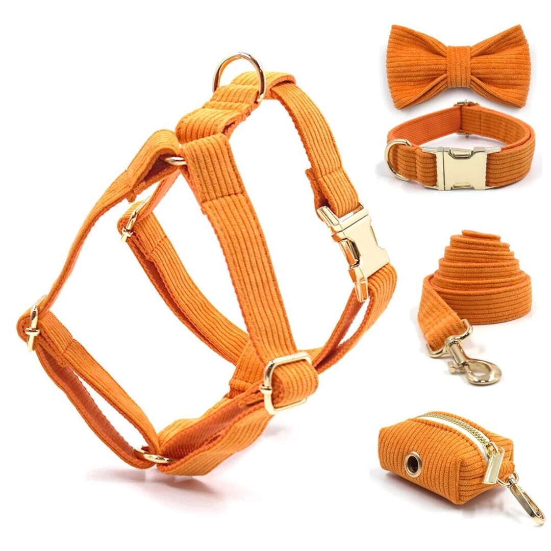 Personalized Orange Corduroy Harness Collar Leash Bow Tie Poo Bag Set