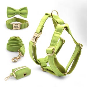 Personalized Apple Green Velvet Harness Collar Leash Bow Tie Poo Bag Set | Personalised Dog Harness & Leash | Matching Dog Collar and Leash