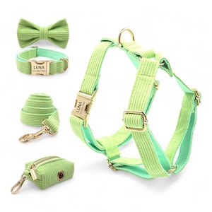 Personalized Mint Green Corduroy Harness Collar Leash Bow Tie Bag Set | Personalised Dog Harness & Leash | Matching Dog Collar Leash Harness