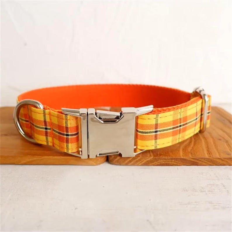 May include: A yellow and orange plaid dog collar with a silver buckle.
