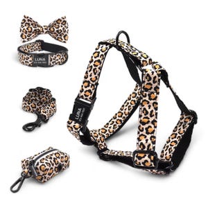 Könnte beinhalten: Ein Hundegeschirr, eine Leine, ein Halsband und ein Kotbeutelhalter im Leopardenmuster. Das Set enthält eine schwarze Fliege mit Leopardenmuster. Das Geschirr, die Leine und das Halsband haben eine schwarze Schnalle mit einem weißen Etikett, auf dem "LUNA" und eine Telefonnummer stehen.