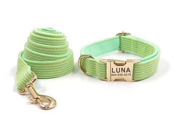 mint green dog harness