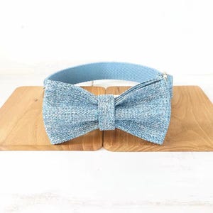 Puede incluir: Un lazo de pajarita de mezclilla azul claro en un collar ajustable azul claro para una mascota.